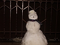 il pupazzo di neve 6 gennaio 2009 010